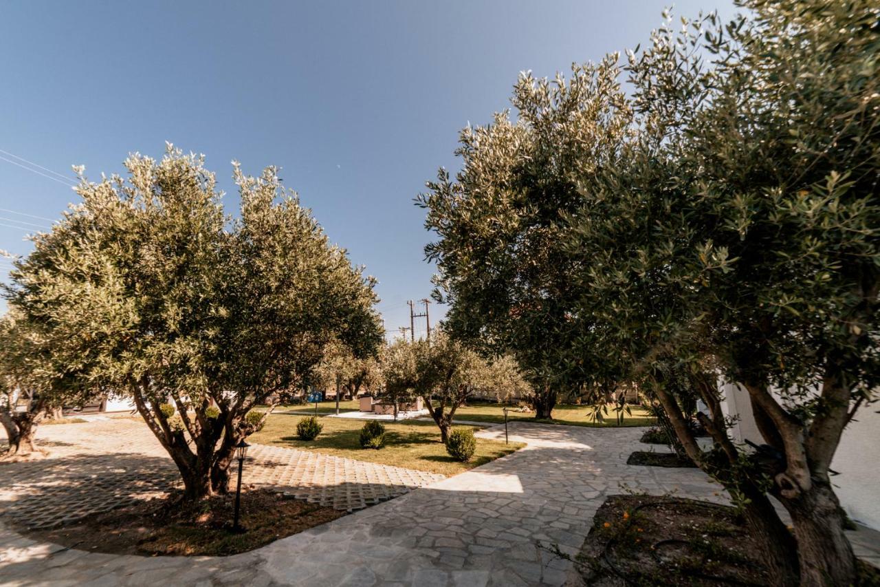 Cyclades Luxury Studios Неа-Потидеа Экстерьер фото