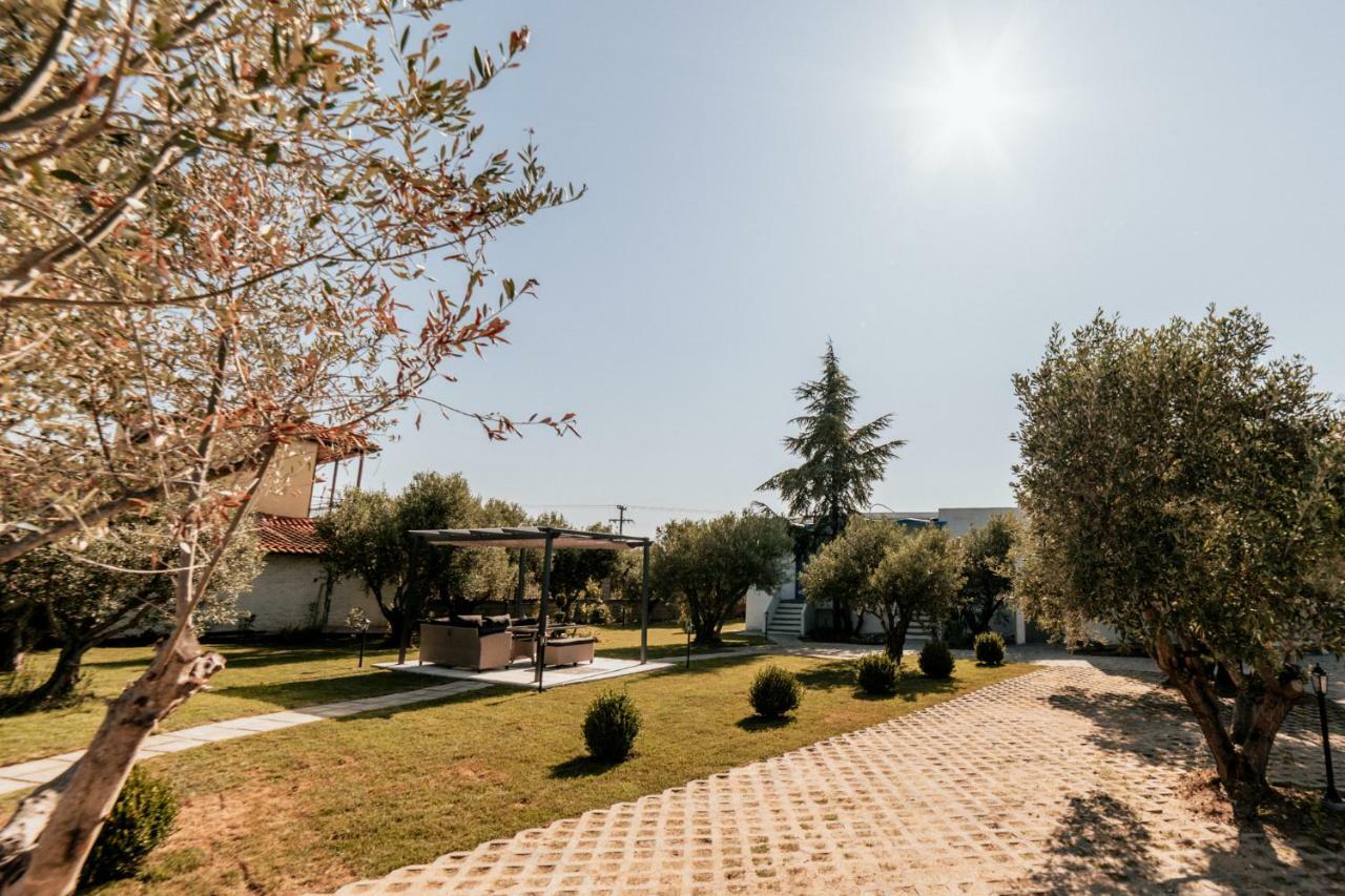 Cyclades Luxury Studios Неа-Потидеа Экстерьер фото